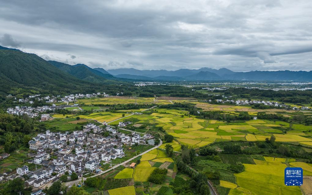 老虎机大师